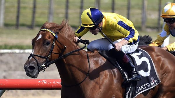 Progressive mare doing top Haunui family proud