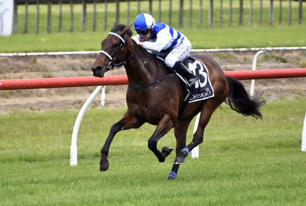 Island Life to add to family’s big week