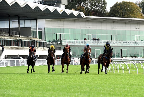 Cup contender impresses in Awapuni hit-out