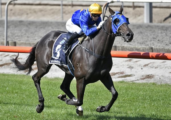 Giacomo takes out South Waikato Cup
