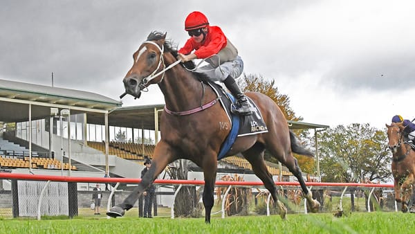 Well-Performed Pair Set for High Hopes This Autumn
