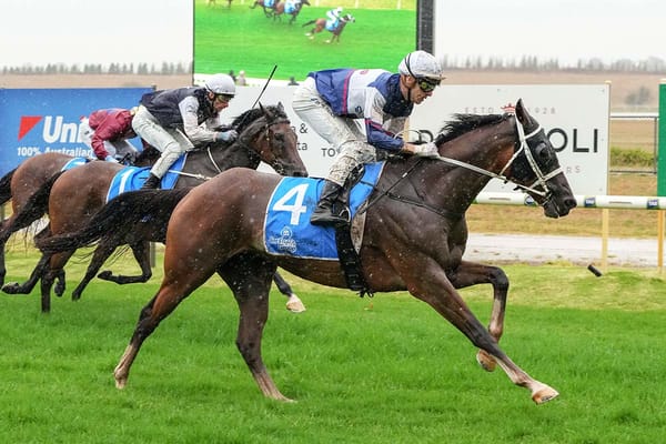 Go Racing launch trio of bright young stayers