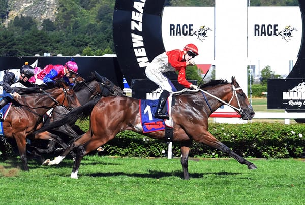 Consistent Kiwi Skyhawk Breaks Through for Classic Victory