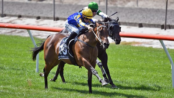 Marsh continues winning roll with juvenile fillies