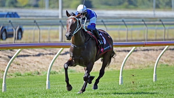 Two-year-old quinella for Marsh and Go Racing