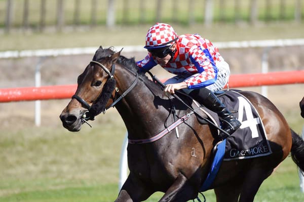 Ellerslie features in sight for Sweeney pair