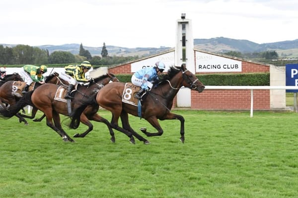 Maximus Augustus delivers career highlight for McNamara