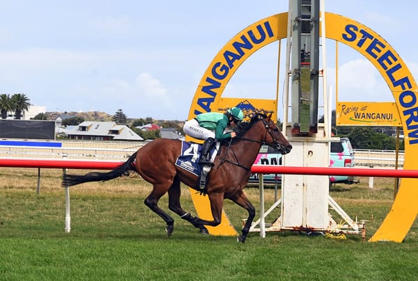 Riddells share Wanganui win with Mr Mojo Risin’