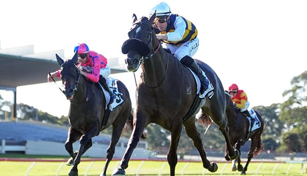 No Fuss Secures Impressive Hat-Trick