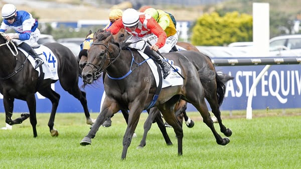 December is stepping up for Kingsclere