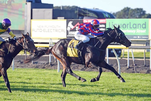 Wanganui a good fit for Orlov