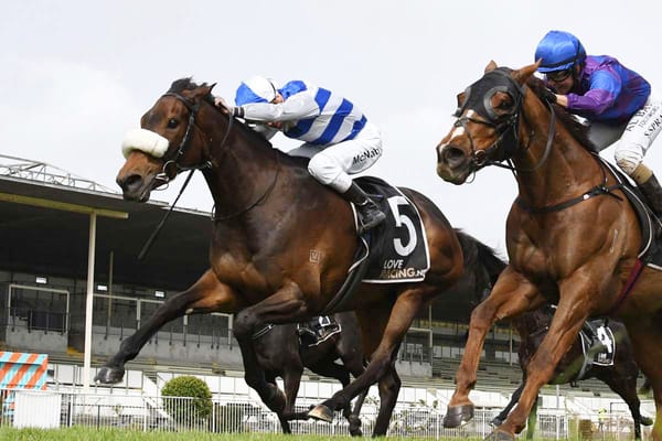 Broodmare paddock beckoning Pearl Of Alsace