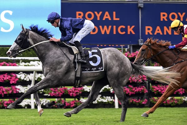 Super Saturday Connects Racing Across the Tasman