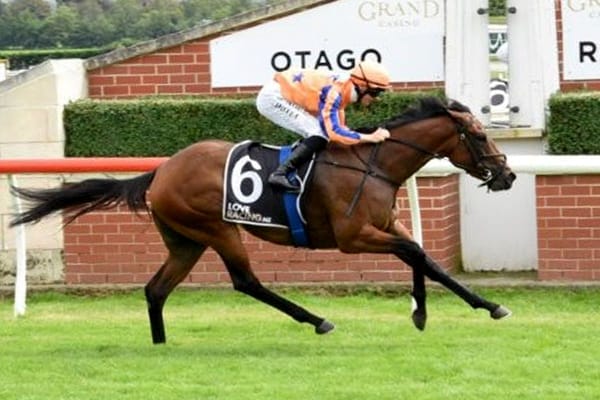 Change of plans pays off with Queen’s Evidence