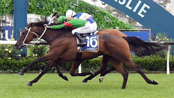 Connors lands another Ellerslie staying feature