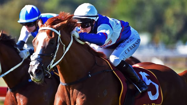 Quality Filly Returns with a Vengeance at Te Aroha