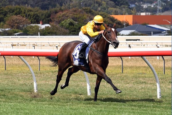 Sales Strategy Yields Two Group One Contenders