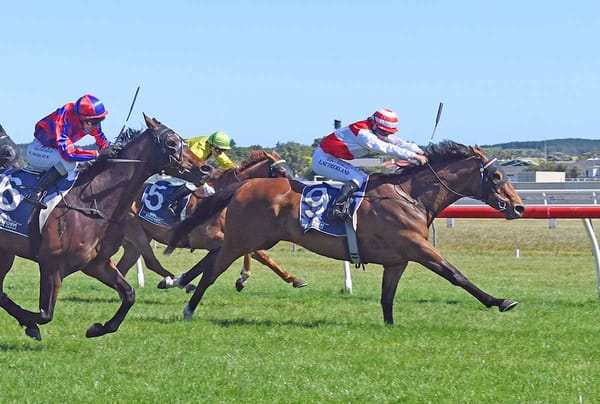 Thurlow Targets Hometown Assignments Before Big Dance