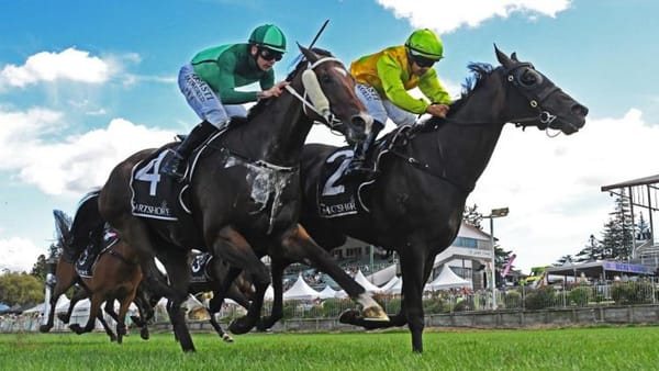 Classy display by You Say D’Orsay