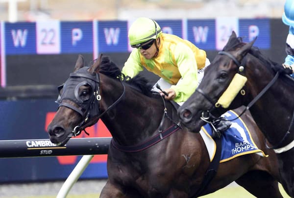 You Say D'Orsay Set for Easter Handicap Target