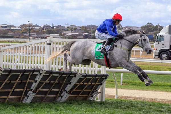 The Cunning Fox sticks to hurdles