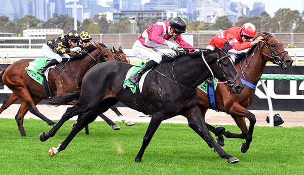 Affluential hits form ahead of Warrnambool