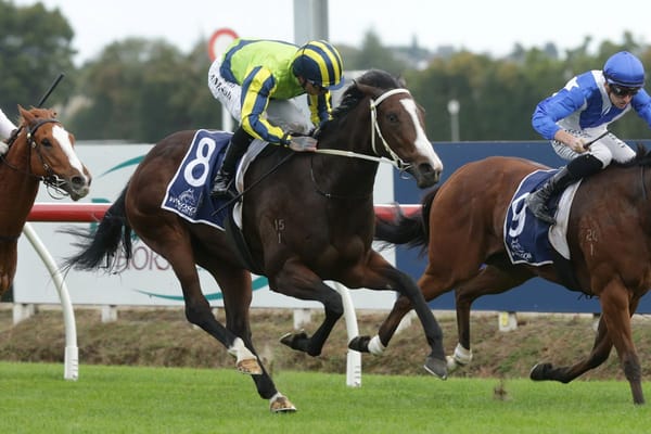 Ardalio completes winning treble for Marsh at Te Rapa