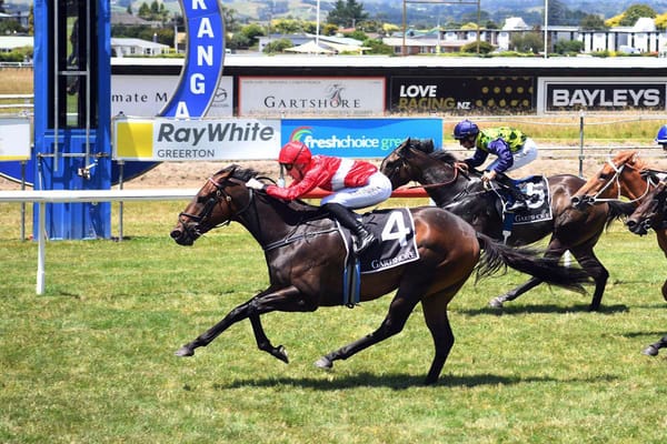 Atmospheric Set for Stakes Debut at Ellerslie