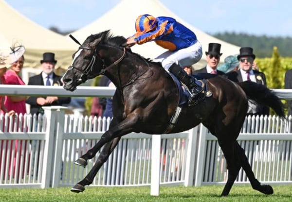 Windsor Park announce 2025 stallion fees