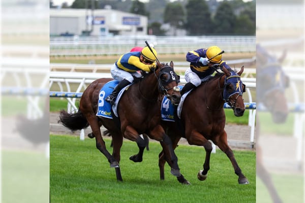 Bankers Choice stars with Mornington Cup victory