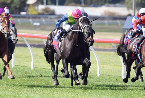 Derby tilt beckons Campbell’s emerging three-year-old