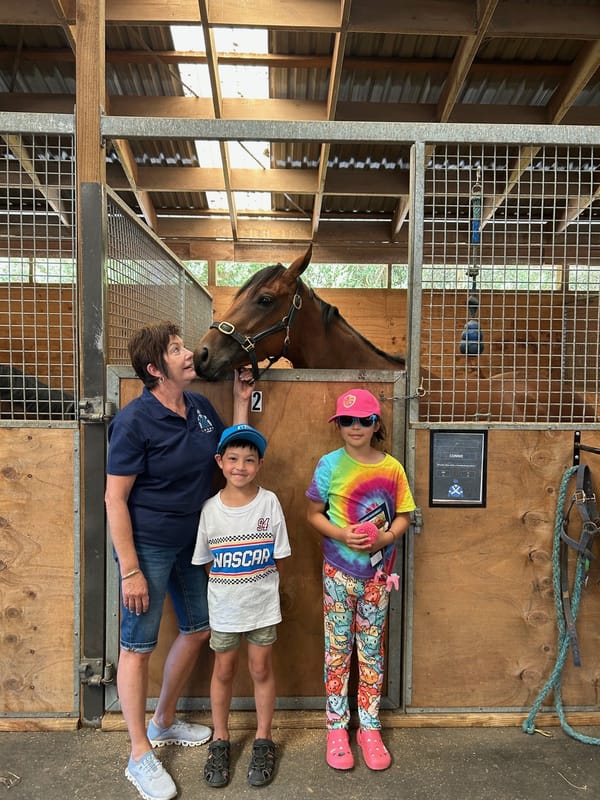 New Zealand to Launch National Thoroughbred Week in November