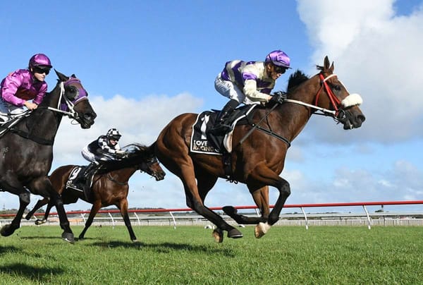 Cup on the cards for Duncan Creek