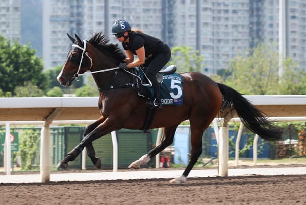 El Vencedor on-track for FWD QEII Cup