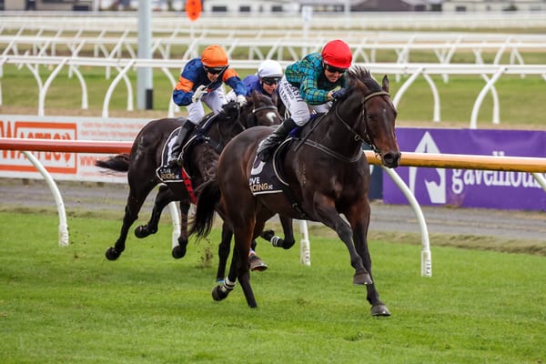 Harlech back on level playing field in Riccarton feature