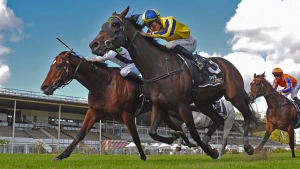 Rotorua Stakes defence looms for enigmatic mare