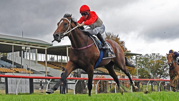 Te Rapa to determine Super Photon’s path