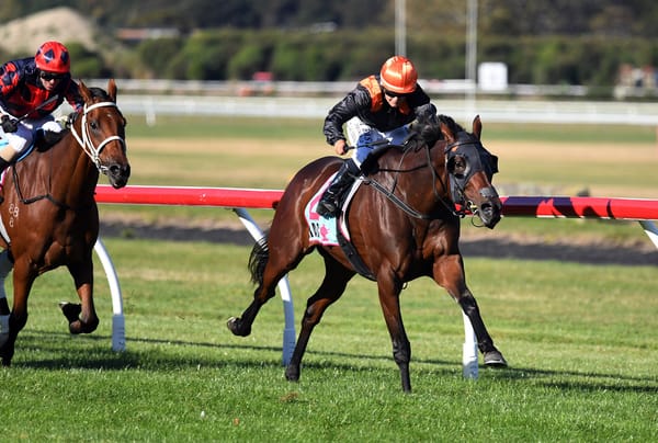 Mature Mehzebeen adds to stakes collection