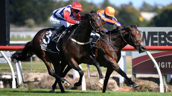 Midnight Edition chasing stakes redemption after Te Rapa success
