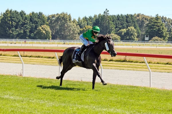 Flying Filly Set to Join Lindsay Park Stable