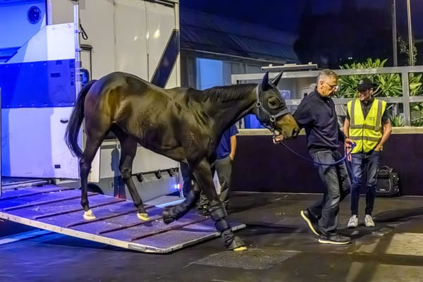 Mr Brightside lands in Hong Kong