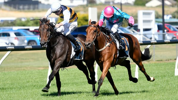 Mustang Morgan Kicks Off Derby Campaign Fresh