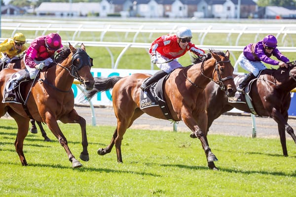 Pitman stable set sights on local stakes double