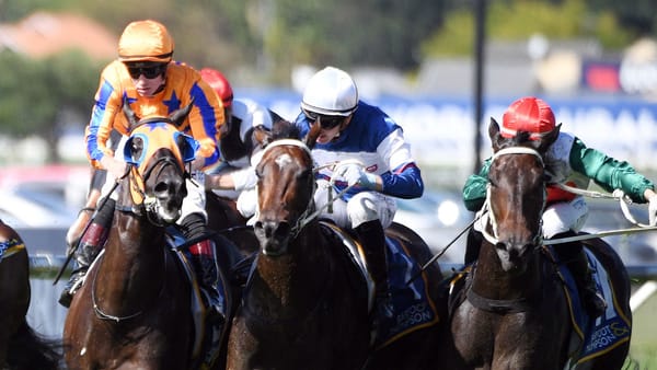 Penman heads Marsh trifecta at Ellerslie