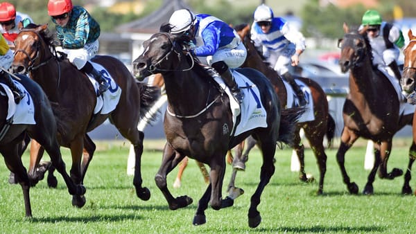 Sacred Satono shows star quality in Ellerslie win