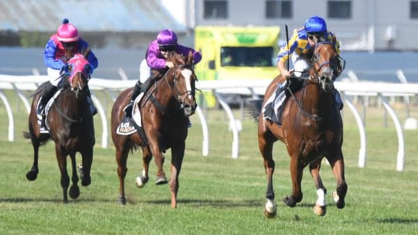 Grays get the Gold with ex-Singapore galloper