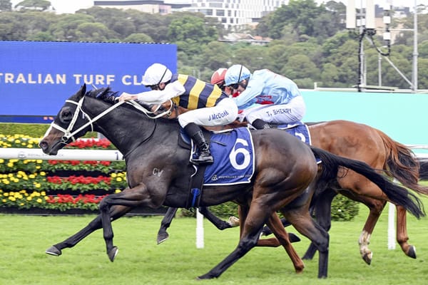 Step Aside picks up where he left off