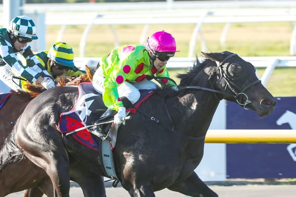 Third Decree shines in Southern Alps Challenge