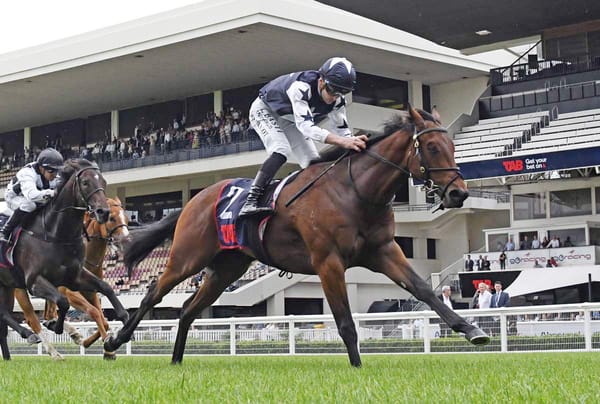 Trainer on the Move Holds Strong Hand for Ellerslie