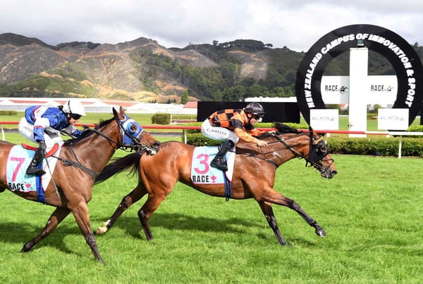 Town Cryer to be at full voice at Te Rapa